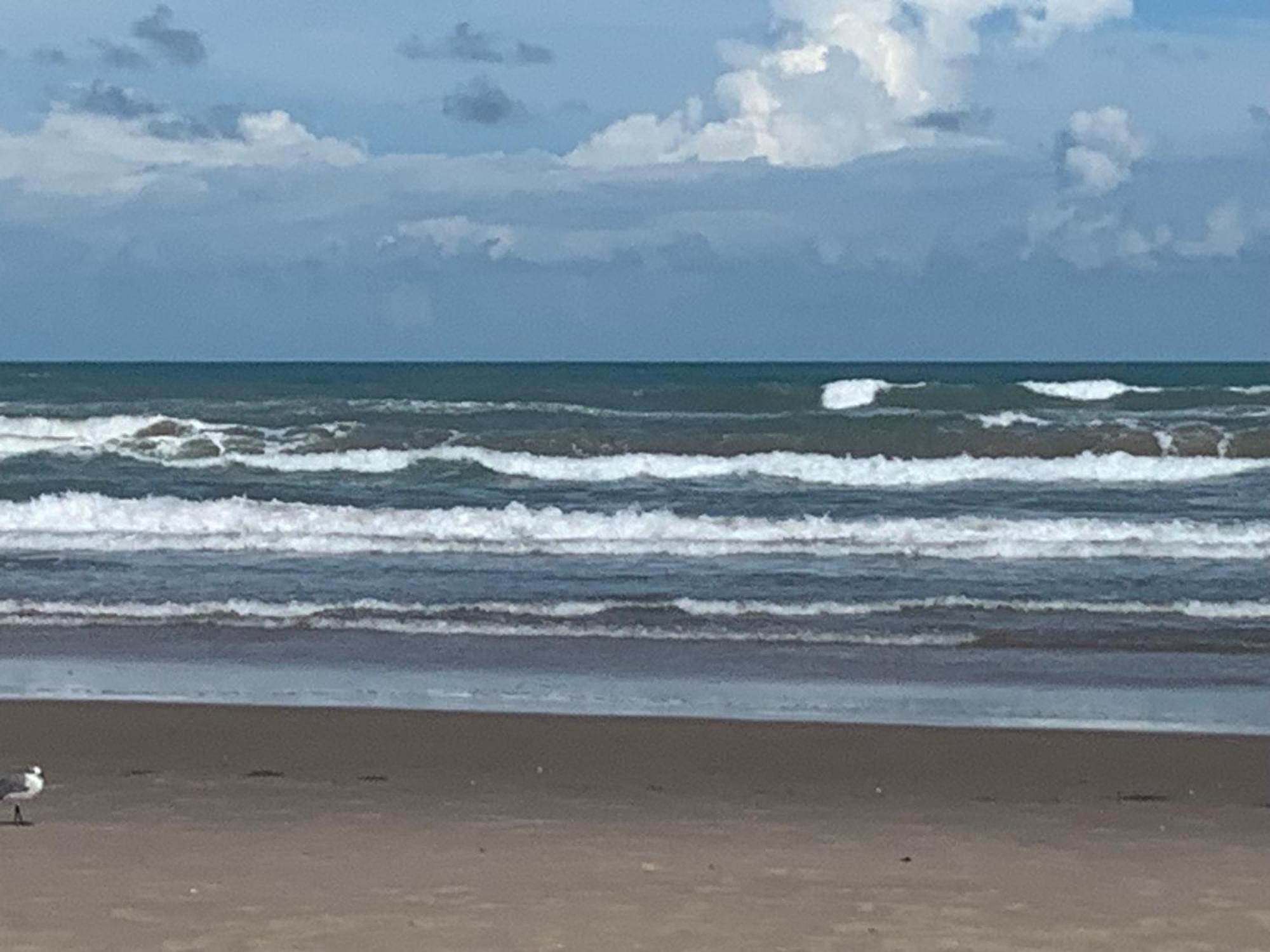 Jjs Beach Condo South Padre Island Exteriér fotografie